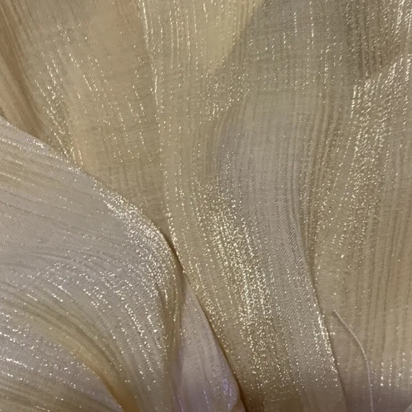 NWT Pinch Dress high neck fluttery ruffles & iridescent sheened threads sz large - Picture 2 of 5